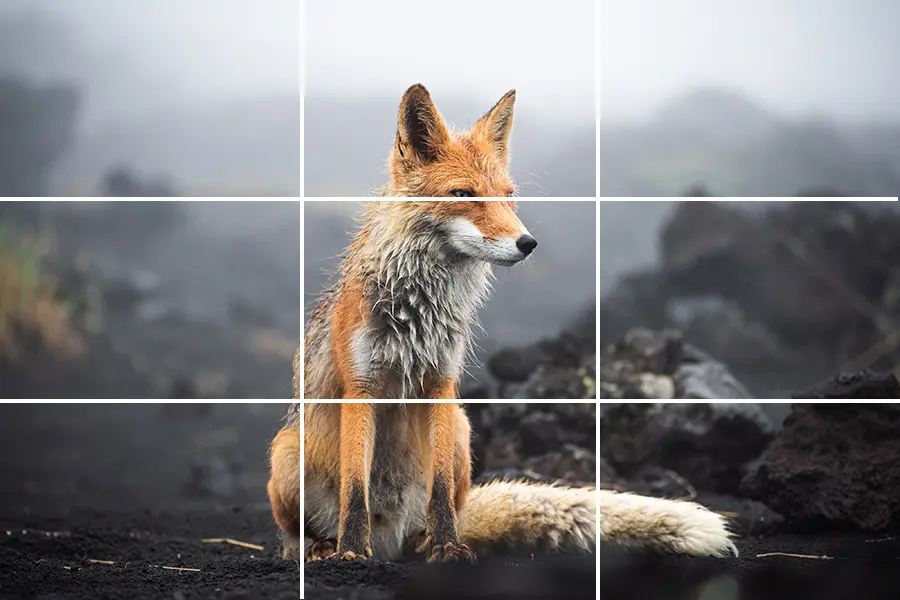 Rule of Thirds