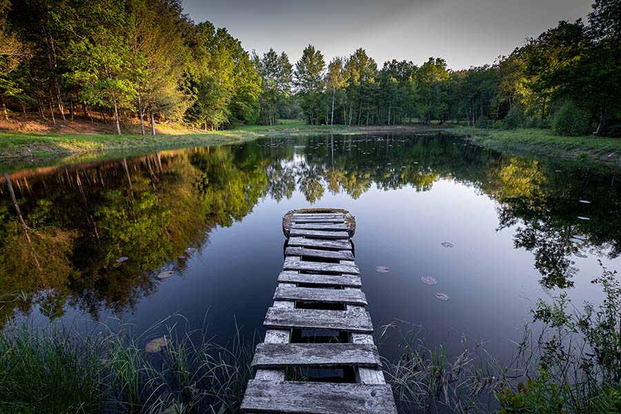 rustic wooden lake